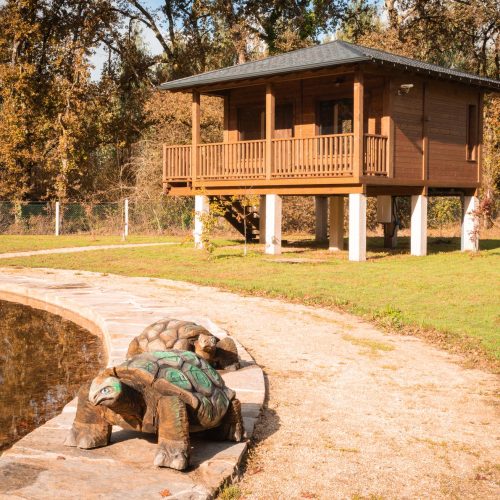 O Bosque Máxico de Bonxe
