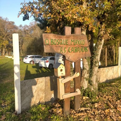 O Bosque Máxico de Bonxe