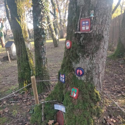 O Bosque Máxico de Bonxe